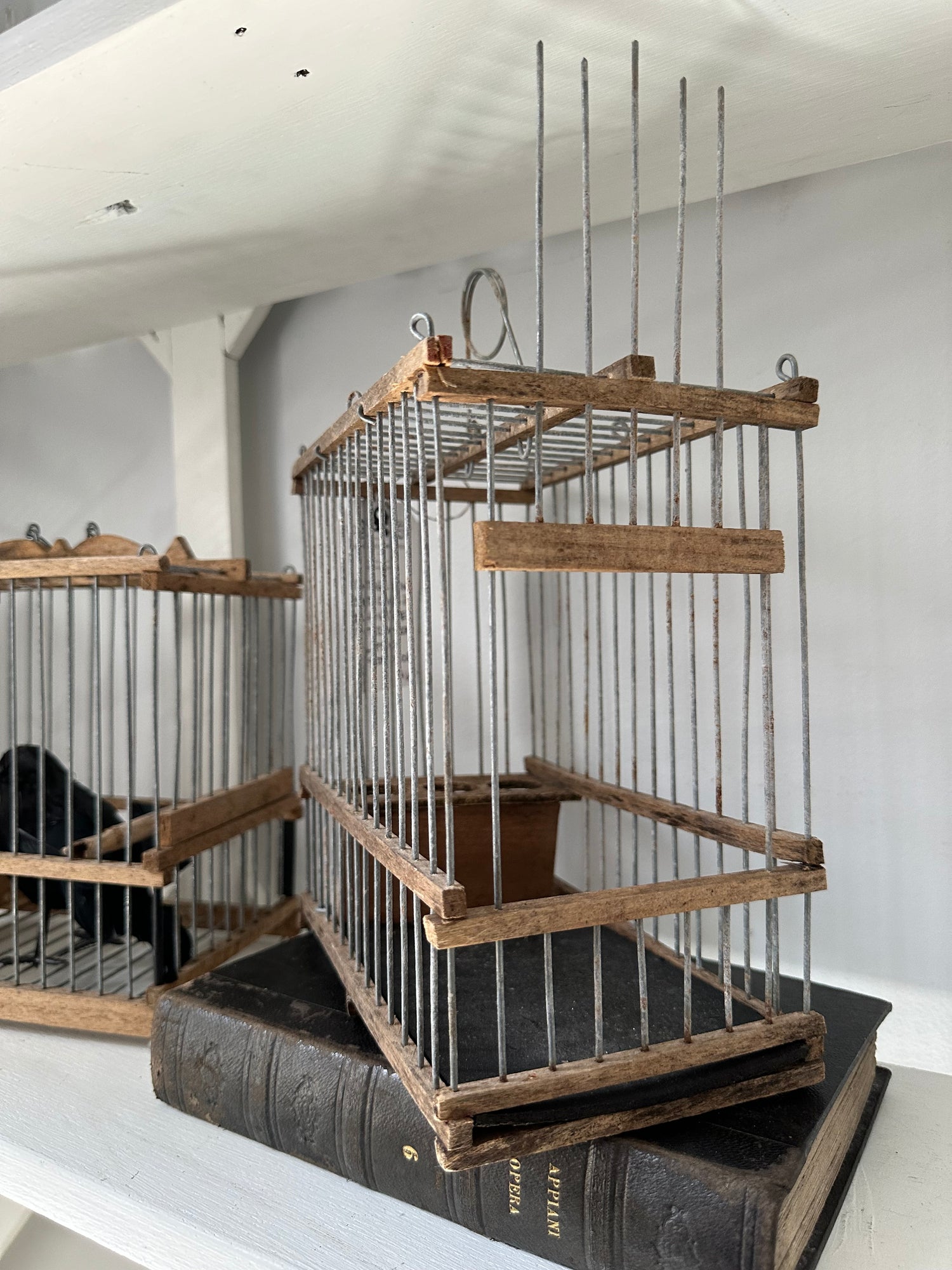 Vintage Mini Birdcages