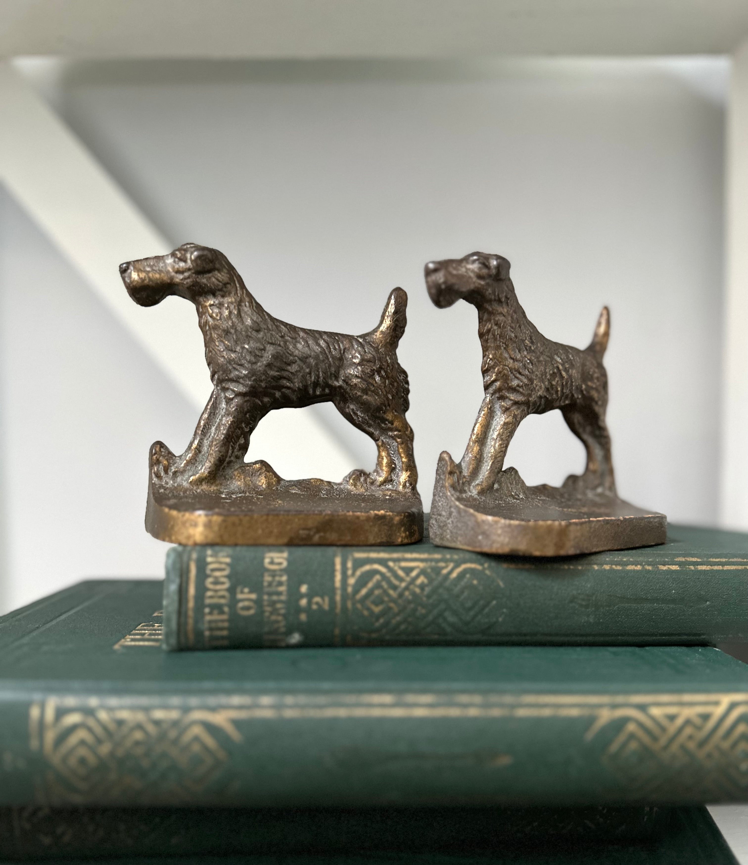 Bronze dog-shaped bookends on top of books with a white background