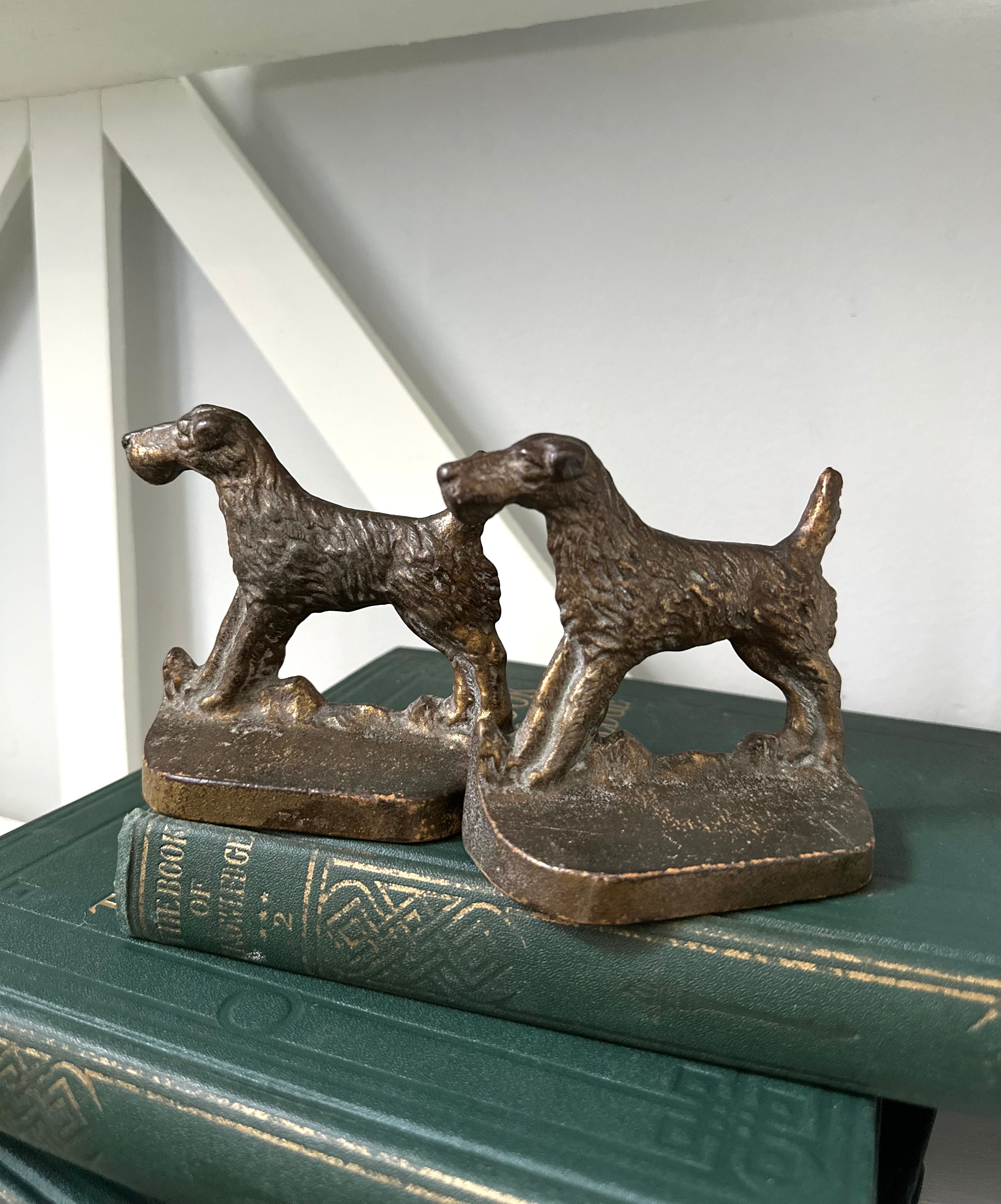 Bronze dog bookends on a green book with a white wall background