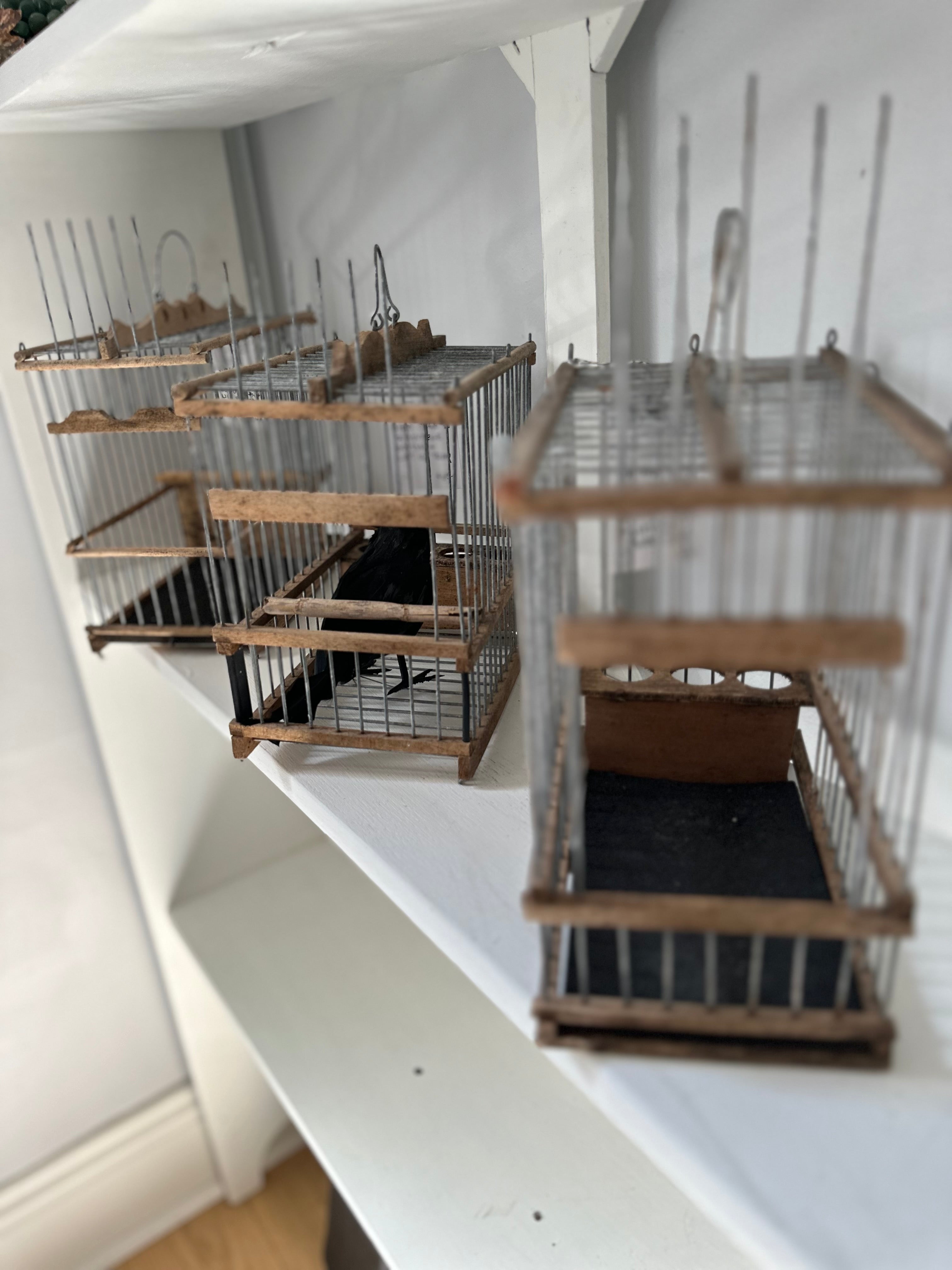 Vintage Mini Birdcages