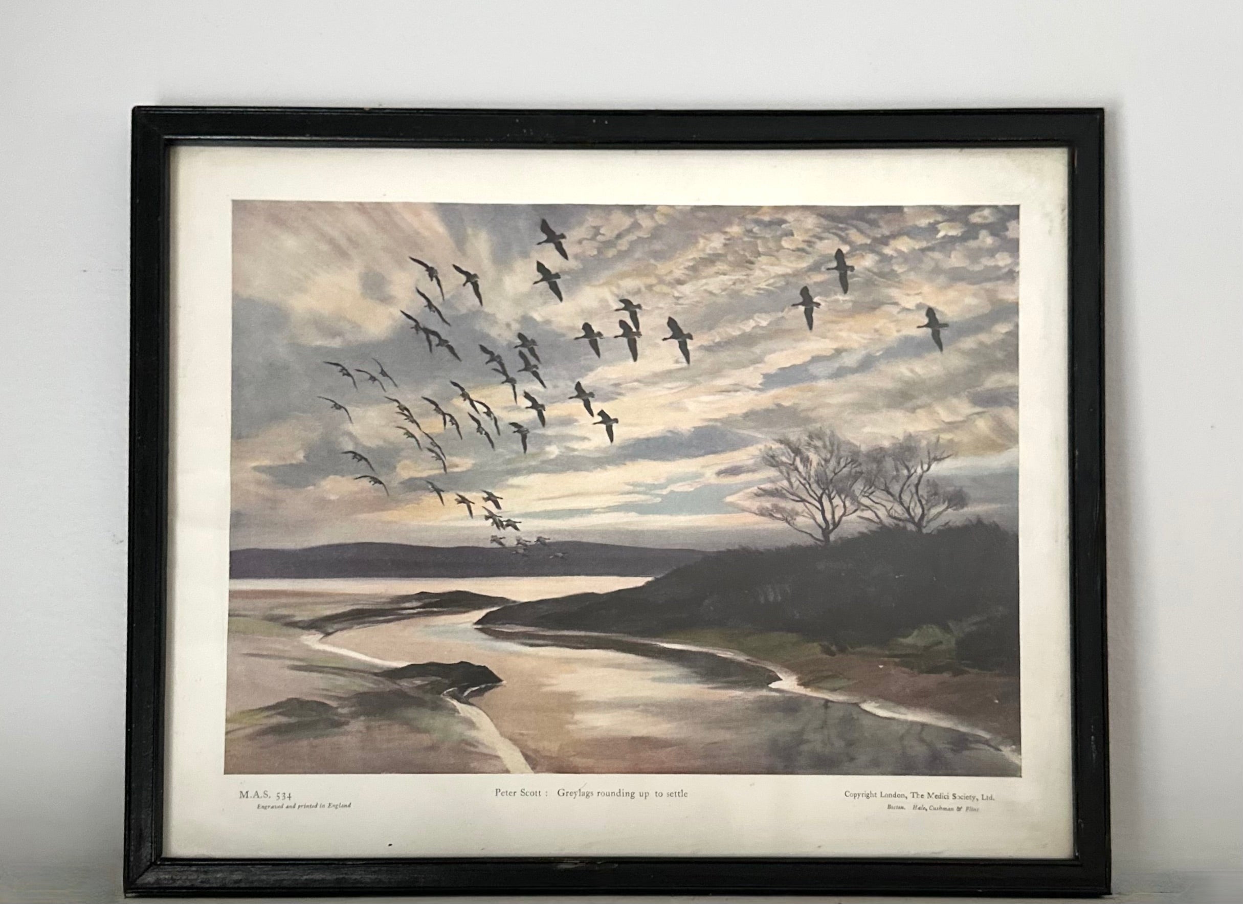 Vintage Peter Scott Print