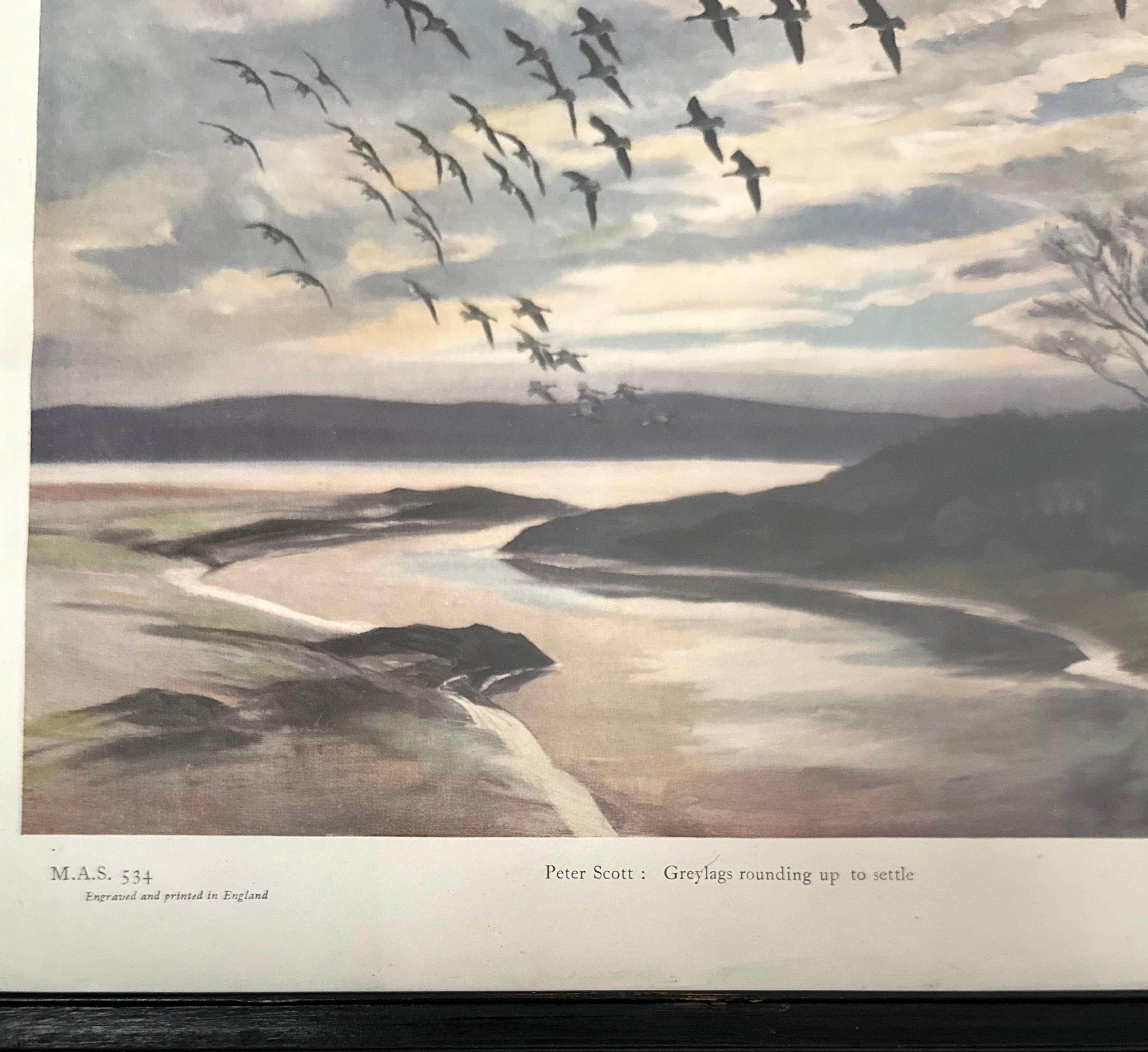 Vintage Peter Scott Print