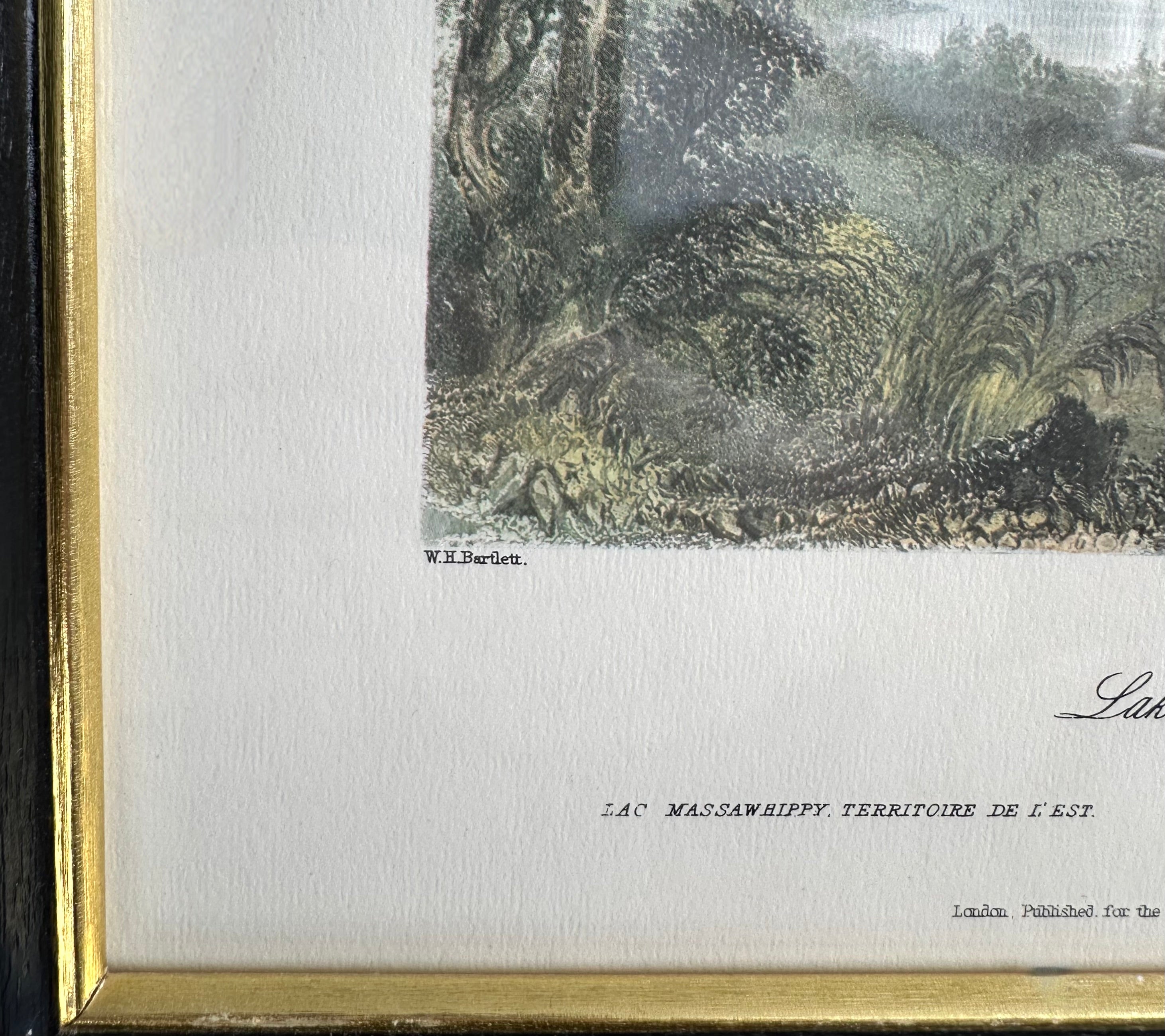 Vintage Framed Bartlett Print