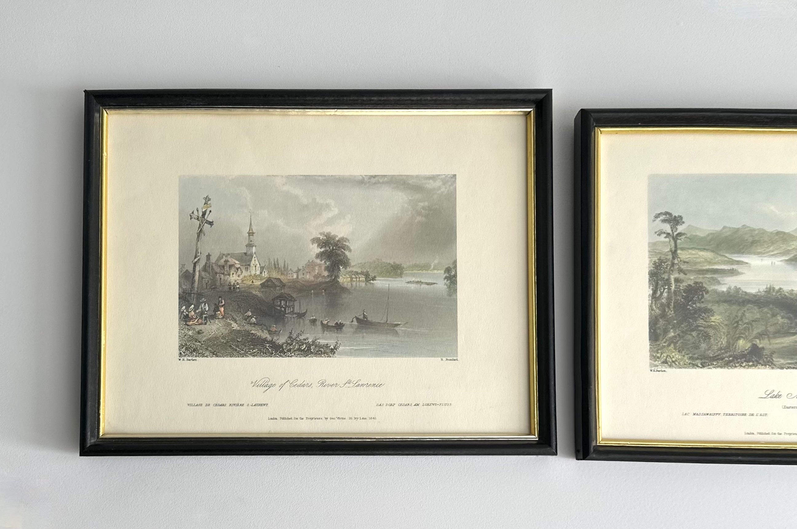 Vintage Framed Bartlett Print