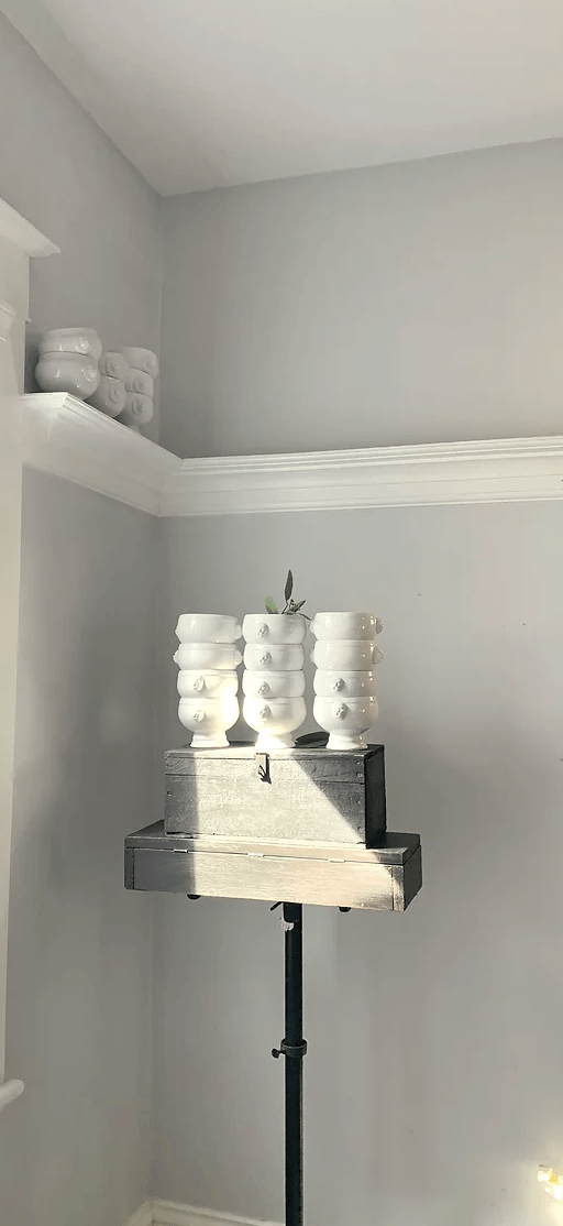 Vintage Lion Soup Tureen/Bowls