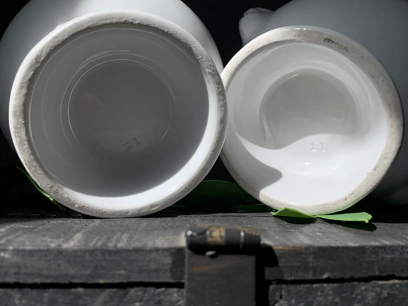 Vintage Lion Soup Tureen/Bowls