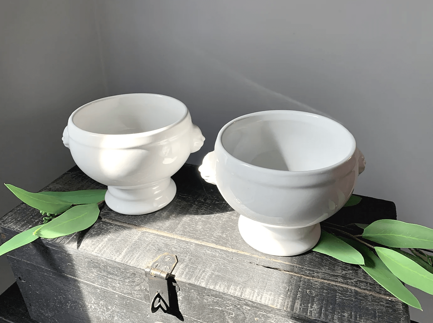 Vintage Lion Soup Tureen/Bowls