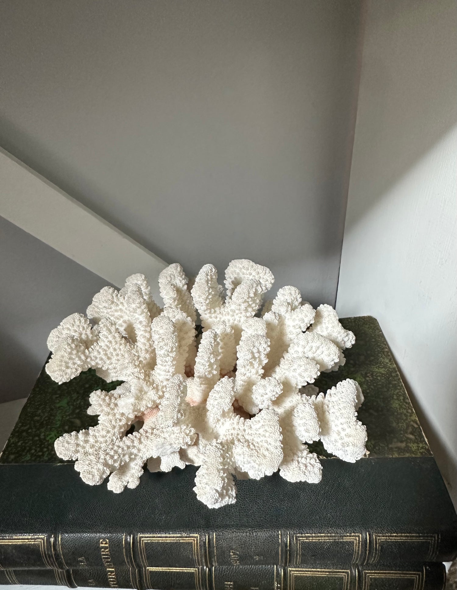 Vintage White Coral Piece