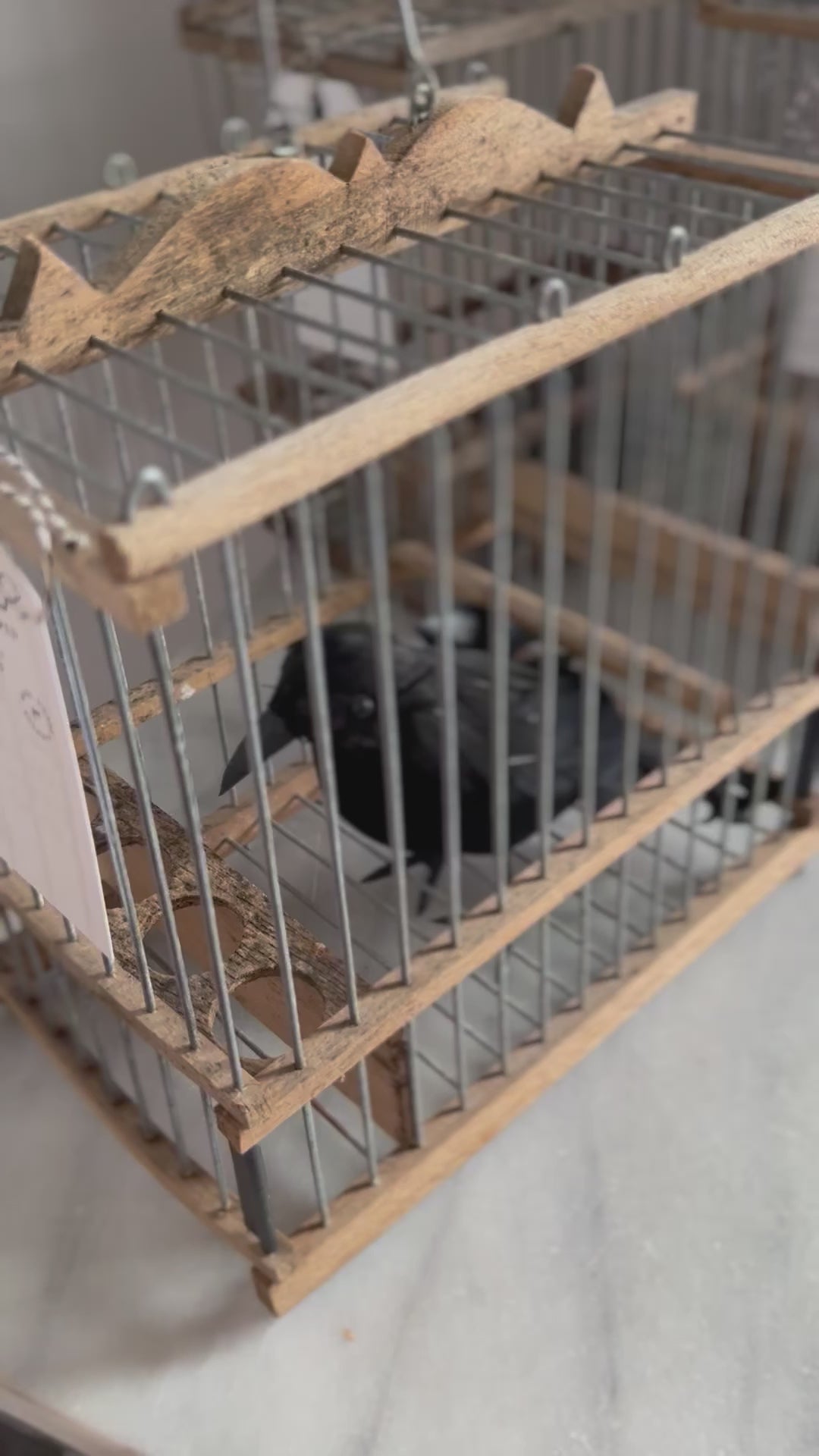 Vintage Mini Birdcages