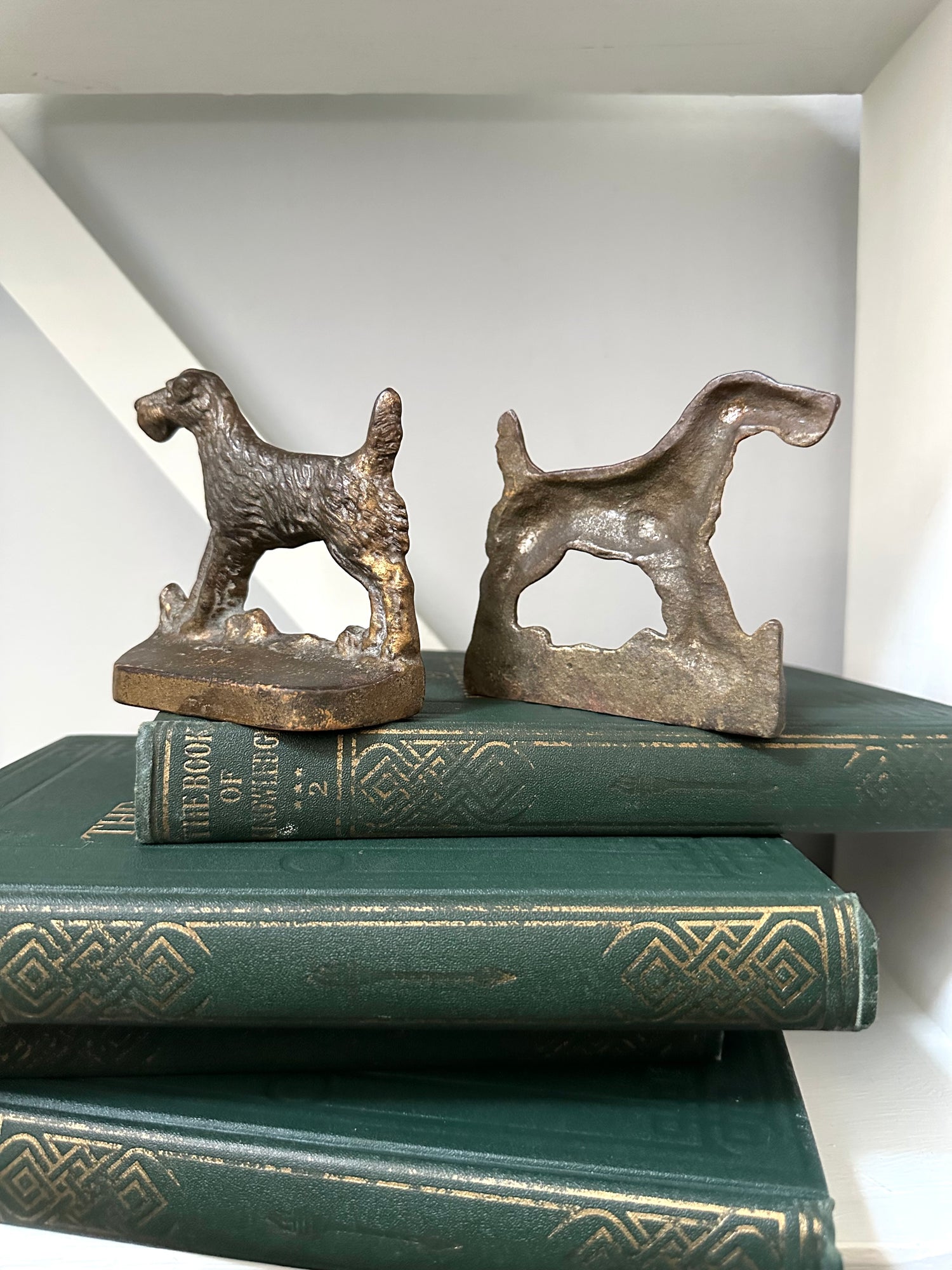 Bronze dog-shaped bookends on a stack of green books with a white background