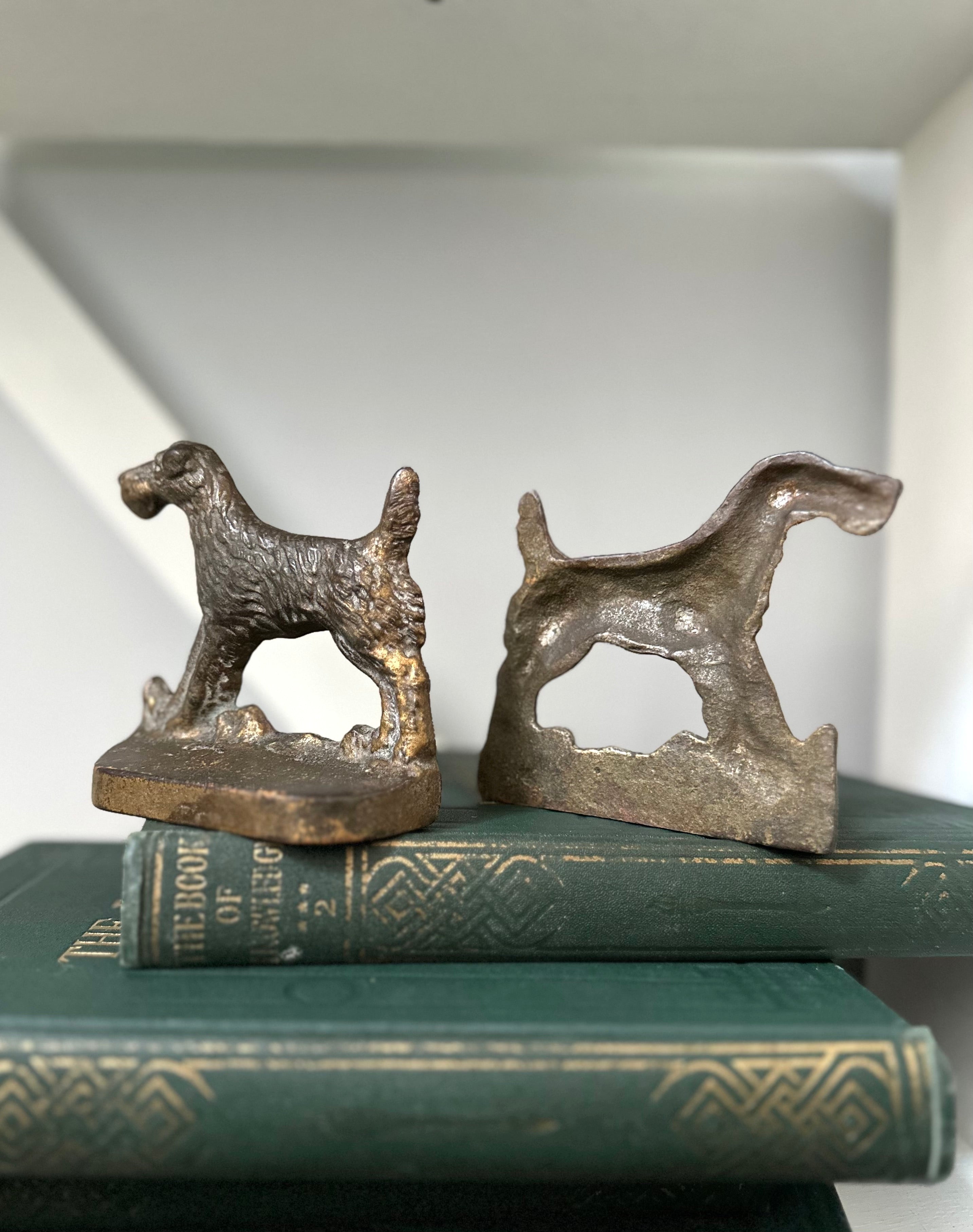 Bronze dog-shaped bookends on a stack of books with a white background