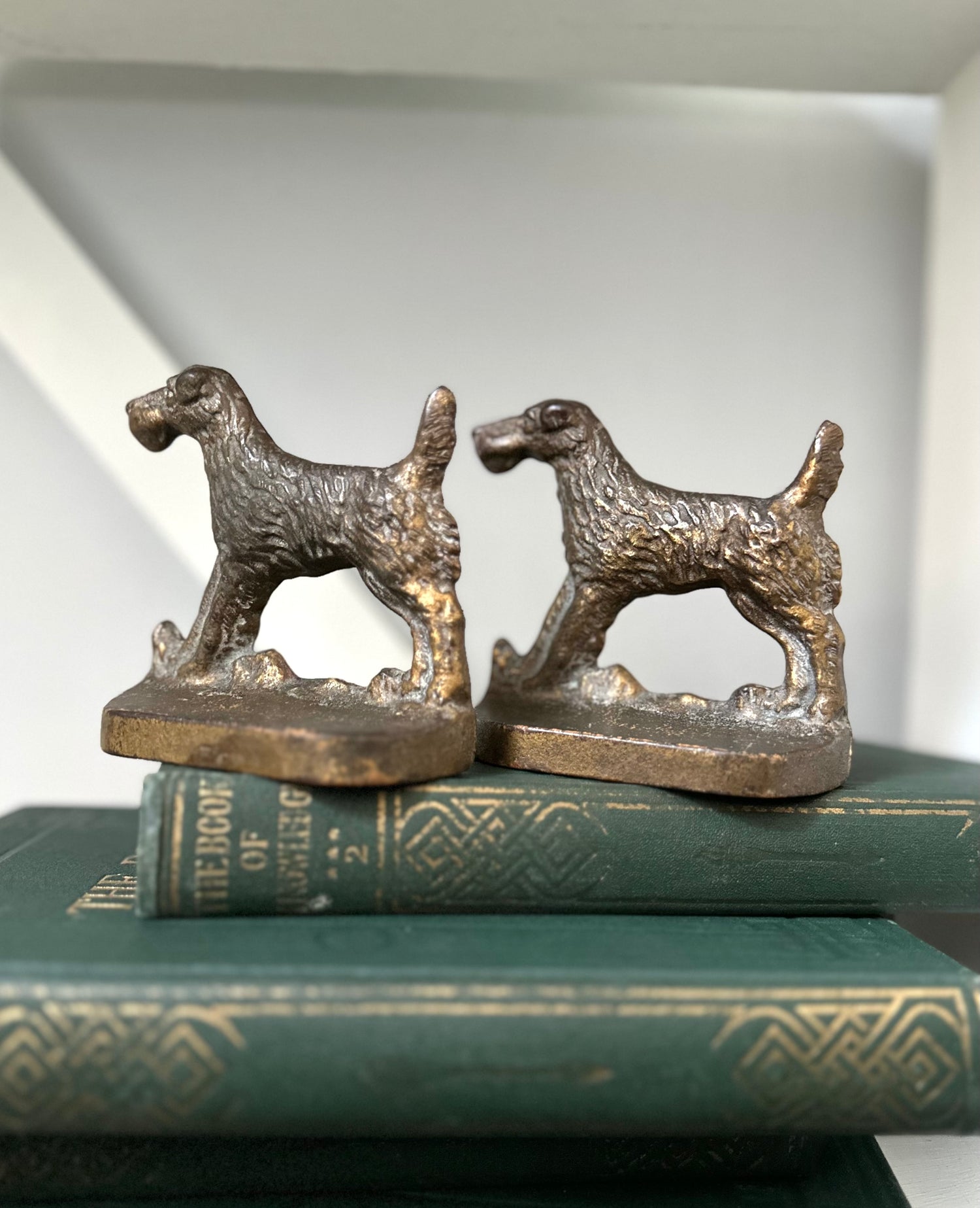 Bronze dog-shaped bookends on a stack of books with a white background