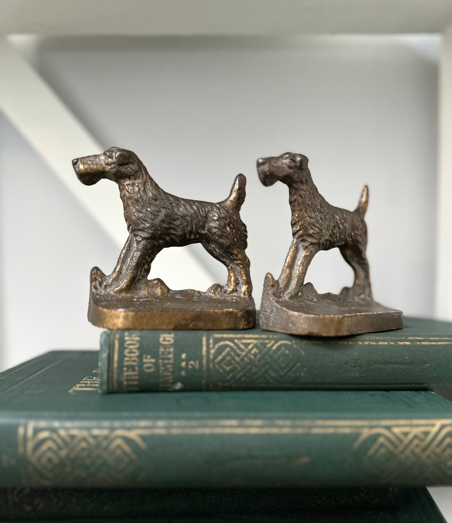 Bronze dog-shaped bookends on top of books with a white background