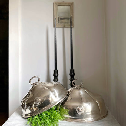 Antique Meat Domes