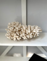 Large Vintage White Coral Piece