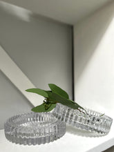 Two glass round ashtray objects sitting on a book with a green leaf and light background