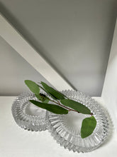 Two glass round ashtray objects with a green leaf and  light background