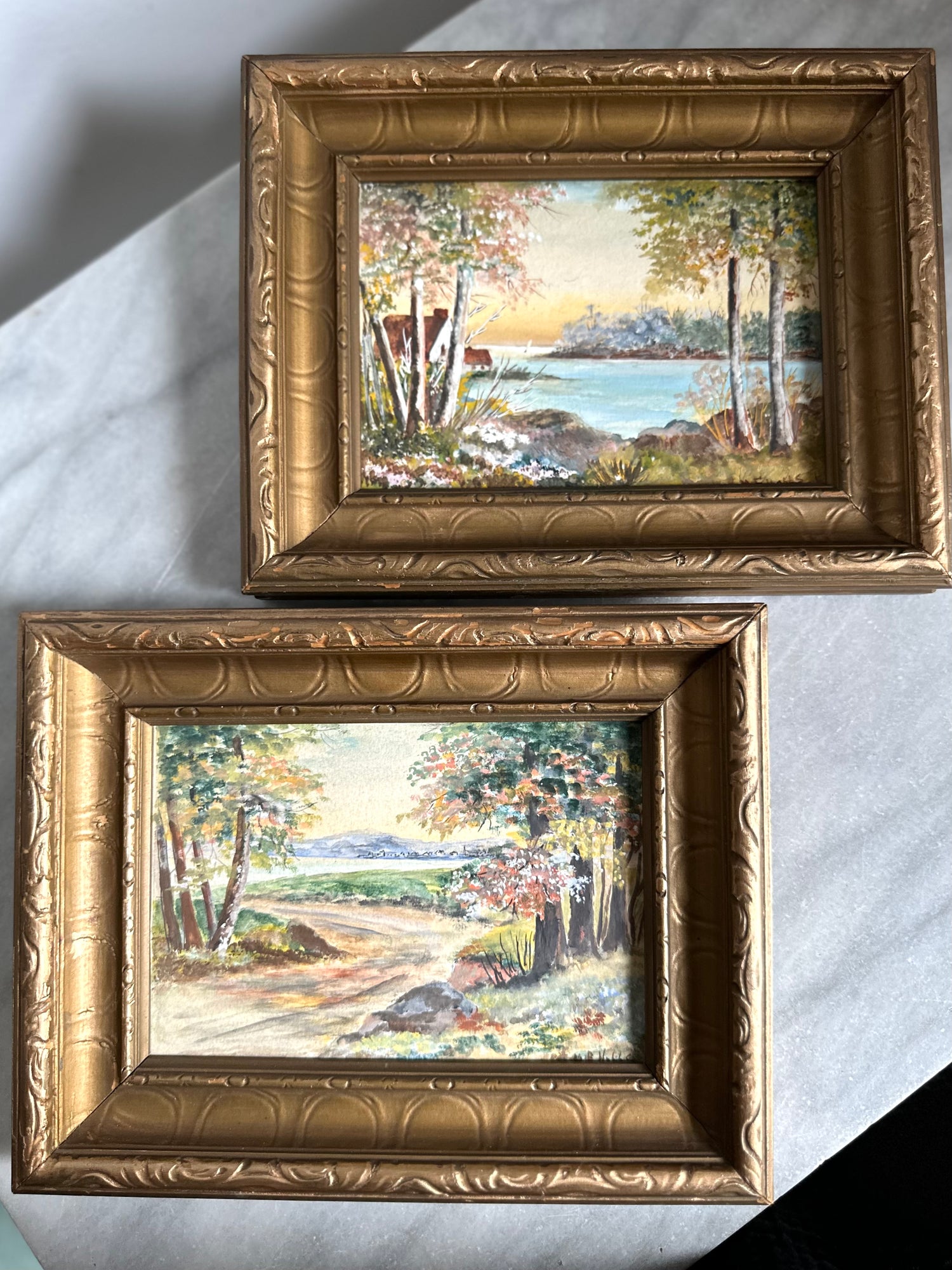 Two small framed landscape paintings with ornate gold frames, displayed on a light gray fabric background.